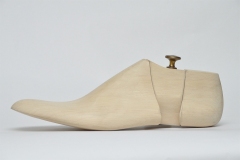shoetree-4